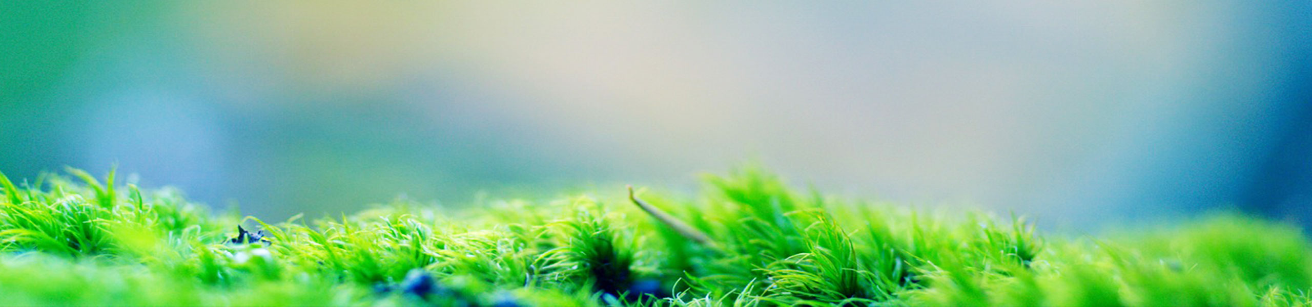 Slide background